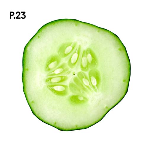 Přírodopis_motiv23.jpg Přírodopis_motiv23.jpg